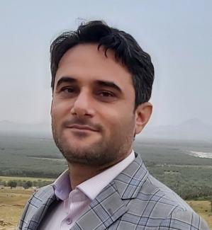 حسن حبیبی